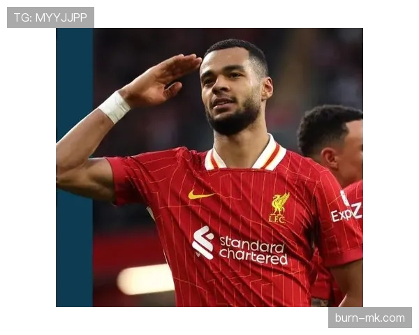 加克波在利物浦的表现解析