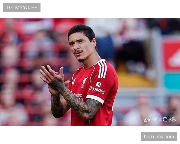 努涅斯高价转会后的期待与现实落差解析